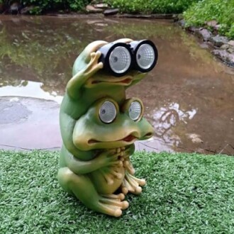 Two frog figurines stacked, one holding binoculars, near a pond.