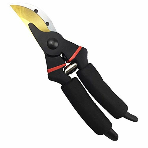 Gold blade garden pruning shears with black handles.