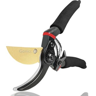 Gold blade garden pruning shears with black handles.