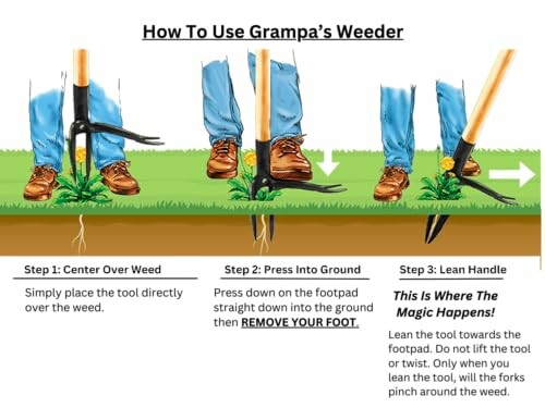 Illustration showing three steps to use Grampa's Weeder on weeds.