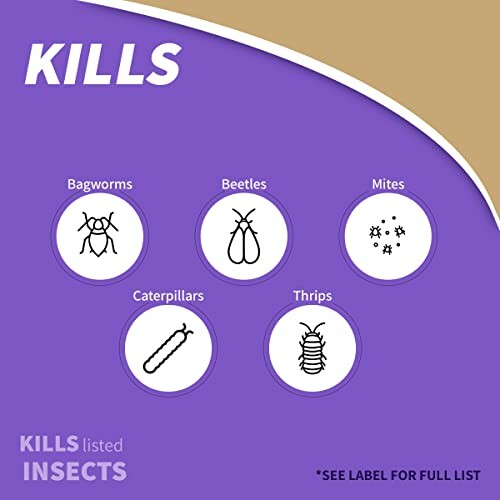 Illustration showing insects like bagworms, beetles, mites, caterpillars, and thrips.