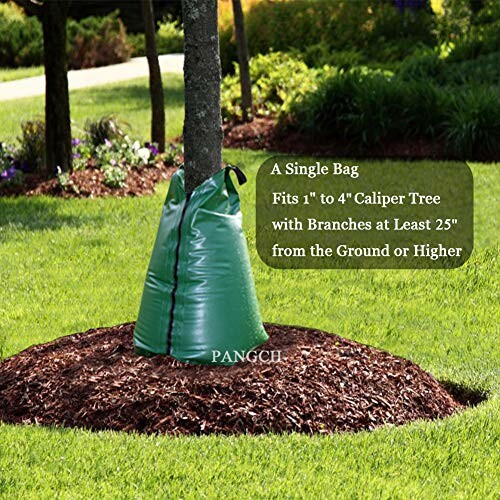 Tree with a green watering bag around its trunk in a garden.